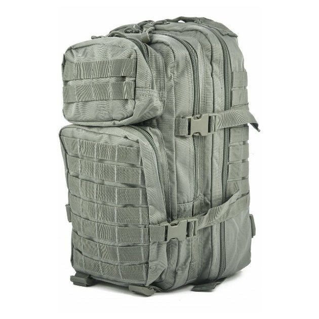 mil-tec-military-army-patrol-molle-assault-pack-tactical-combat-rucksack-backpack-bag-20l-foliage-green_76897.jpg